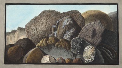 Lava, Scoria, and Pumice stones of Mount Vesuvius, Plate LI, from 